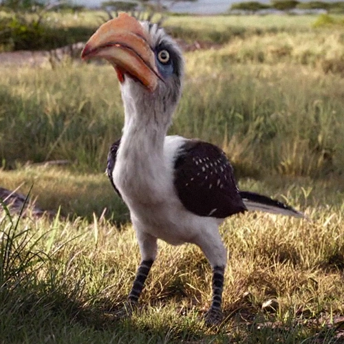 Arquivo:TLK2019Zazu.png
