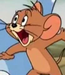 Arquivo:Tom e Jerry DVO - Jerry.jpg
