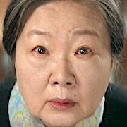 Arquivo:Kim Hae-Sook - OS SUPERTONTOS.jpg