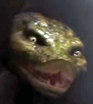 Arquivo:Kaa Cate Blachett.jpg