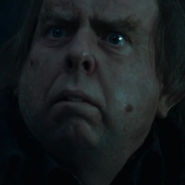Arquivo:HP4PeterPettigrew.png