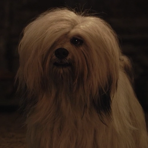 Arquivo:Peg (Lady Tramp, 2019).png