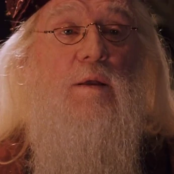 Arquivo:HP2AlvoDumbledore.png