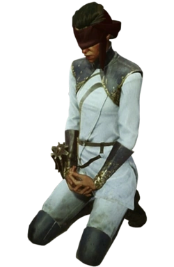 Arquivo:Irmã Ocular.png
