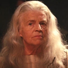 Arquivo:Willow1988 Fin Raziel.png