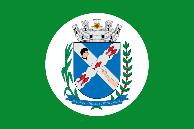 Arquivo:Piracicaba.png