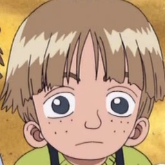 Arquivo:One Piece Chip.png