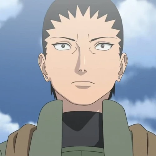 Arquivo:Shikamaru Nara (TL-NoF).jpg