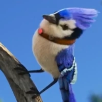 Arquivo:Pajaro (DD).png