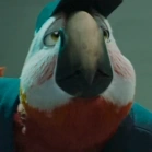 Arquivo:Diretor (UCBDB).png