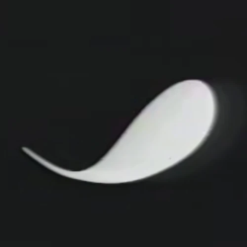Arquivo:Cn - iris.jpg