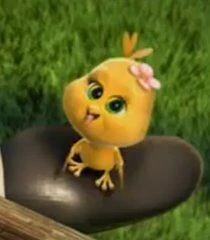 Arquivo:Maddy-the-chick-barnyard-6.65.jpg