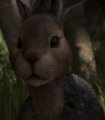 Arquivo:Strawberry (2018).png