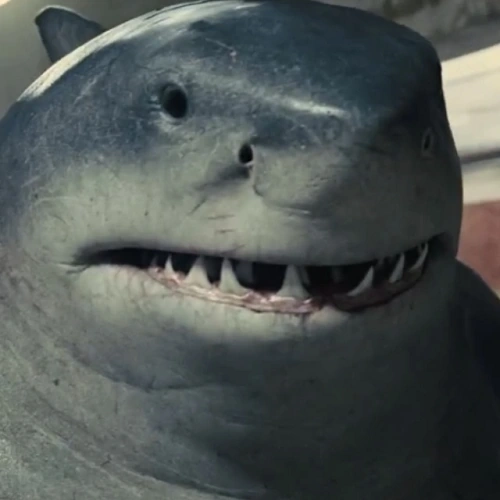 Arquivo:TSSSharkv2.png