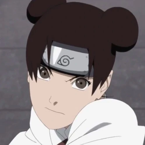 Arquivo:Tenten (NSoF-PdS).jpg