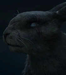 Arquivo:WDWoundwort.png