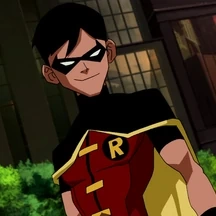 Arquivo:Robin 2010 yj.png