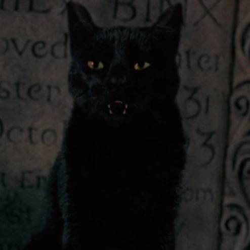 Arquivo:Thackery Binx gato (Abracadabra).png