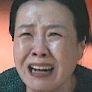Arquivo:Hong Boo-Hyang - OS SUPERTONTOS.jpg