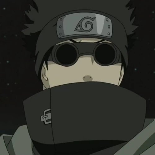 Arquivo:Shino Aburame (RtN-NoF).jpg