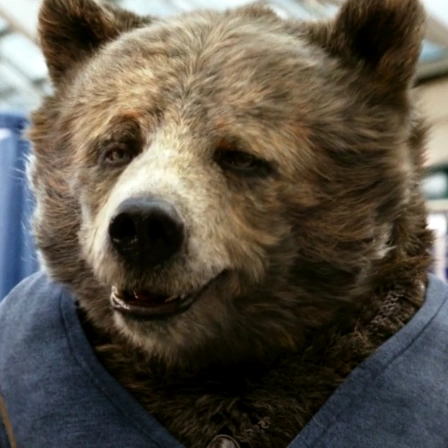Arquivo:Baloo-CHADAR.png