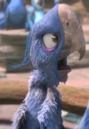 Arquivo:Jason Harris as Old Bird 28Voice29.webp