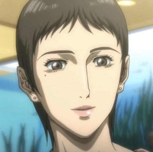 Arquivo:MAIM Maria.png