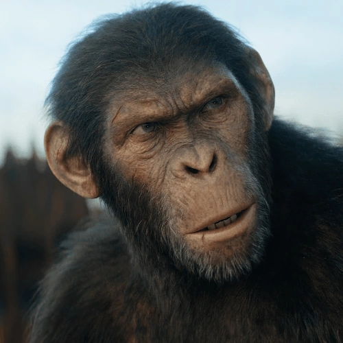 Arquivo:Noa (PlanetOfTheApes).png.png