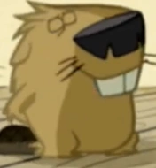 Arquivo:Castor 2 - Gawayn.png