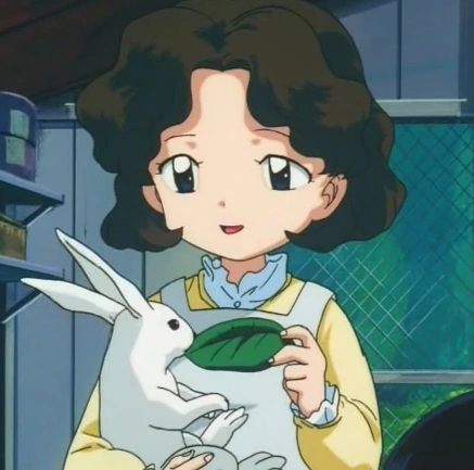 Arquivo:Hitomi.png