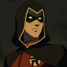 Arquivo:Robin 2020 yj.png