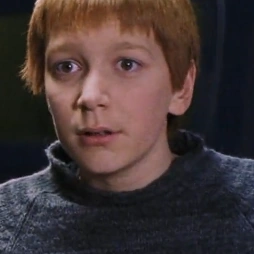 Arquivo:HP1GeorgeWeasley.png