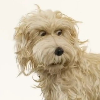 Arquivo:IgorGang3 - IsleofDogs.png