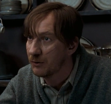 Arquivo:ODF Lupin.png
