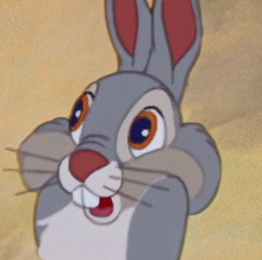 Arquivo:Tambor adulto.png