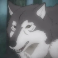 Arquivo:Lobo (T-ML-).jpg