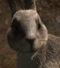 Arquivo:Hawkbit (2018).png