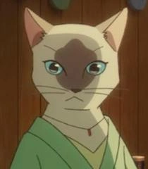 Arquivo:Tamaki AWA.png