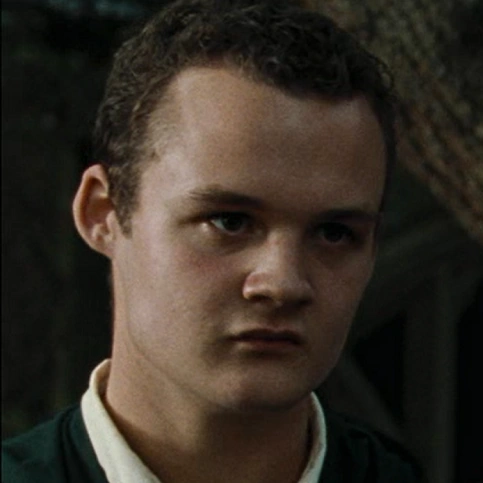 Arquivo:HP4GregórioGoyle.png