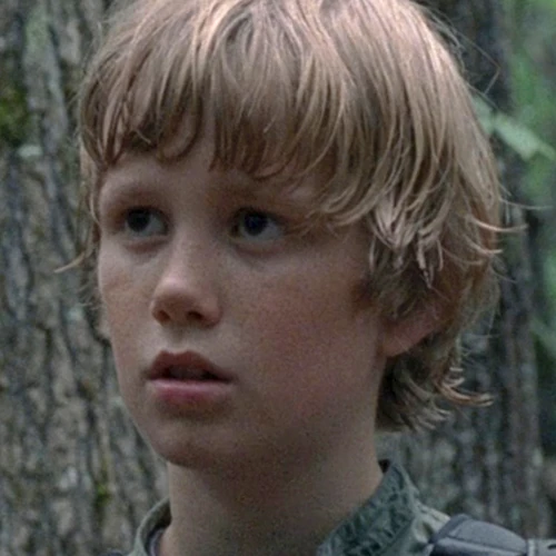 Arquivo:Henry S8 (TWD).jpg