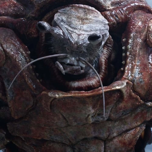 Arquivo:Rey de Brine ATLK.png