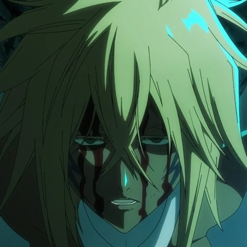Arquivo:Tier Halibel (B-TYBW).webp