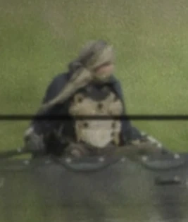 Arquivo:Assobiador (FTWD).png
