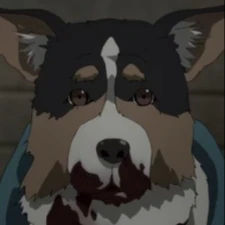 Arquivo:Cachorro Parasita (P-tm-).jpg