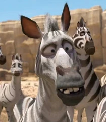 Arquivo:Zebra vieja Khumba.jpg