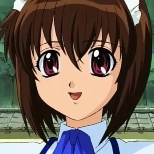 Arquivo:Steel Angel Saki.jpg
