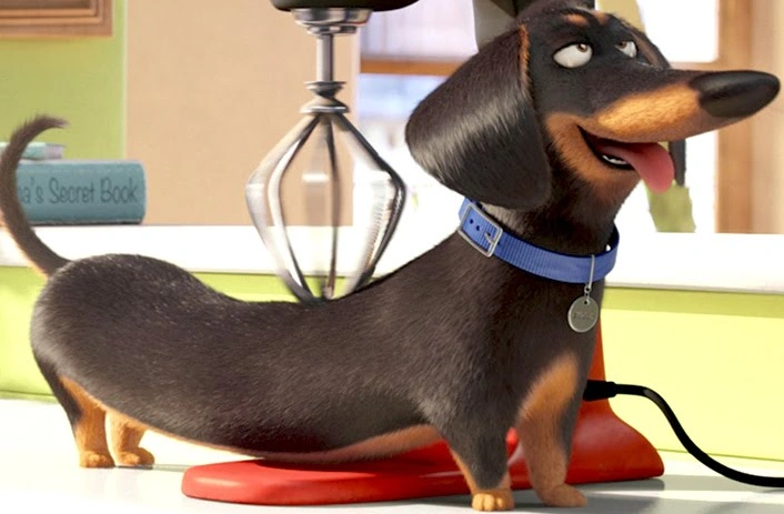 Arquivo:Buddy-Pets.png