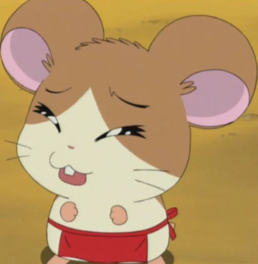 Arquivo:Tureco.png