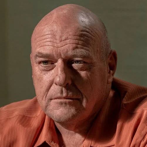 Arquivo:Hank Schrader (BB).jpg