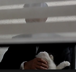 Arquivo:Ernst Stavro Blofeld-1965-1a1.jpg